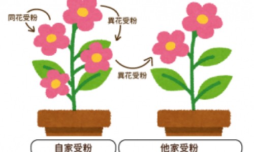 肺癌转移到骨头症状是什么原因网- 肺癌转移到骨头症状是什么原因造成的知识,分享肺癌转移到骨头症状是什么原因引起的