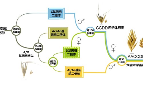 肺癌转移到骨头了属于哪类癌-肺癌转移到骨头症状是什么原因网- 肺癌转移到骨头症状是什么原因造成的知识,分享肺癌转移到骨头症状是什么原因引起的